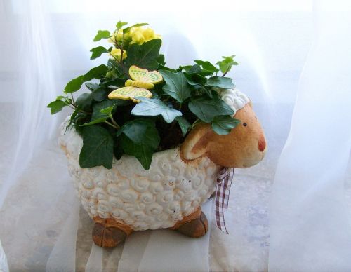 easter lamb yellow coral flower
