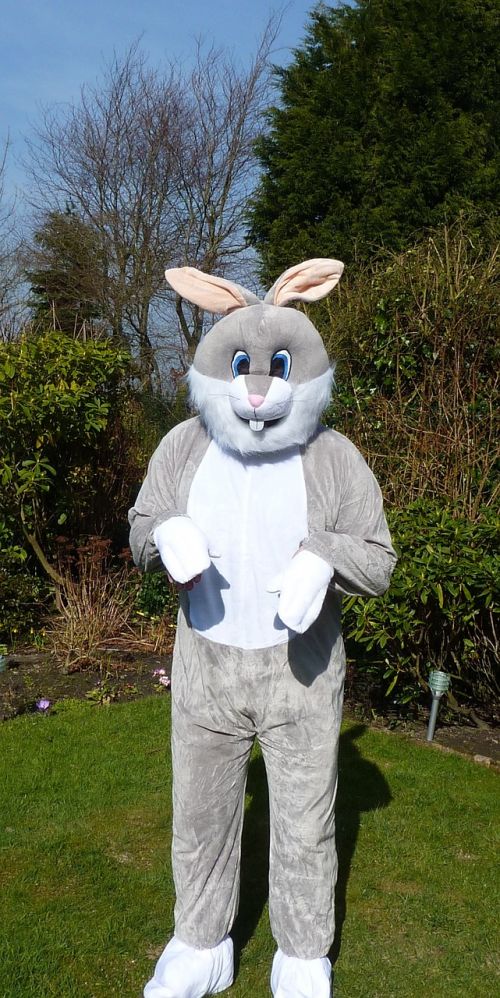 easter bunny rabbit fancy dress