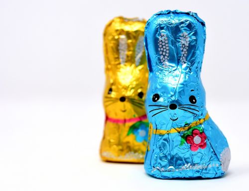 easter bunny chocolate easter
