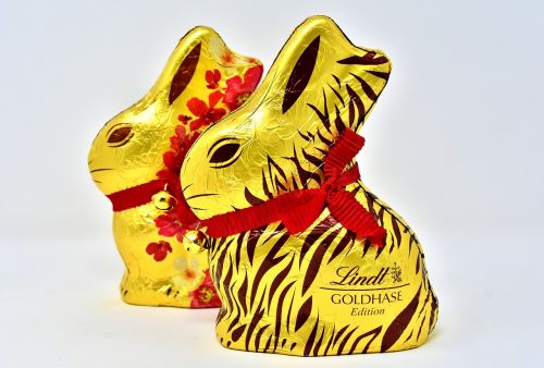 easter bunny chocolate easter