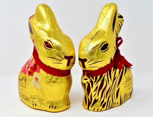 easter bunny chocolate easter