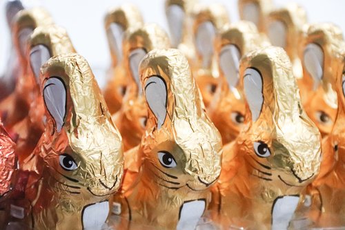 easter bunny  chocolate bunnies  candy