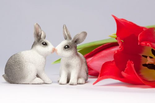 easter bunny kiss spring