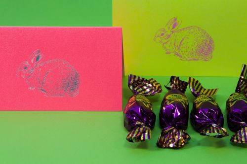 easter bunny chocolate pralines spring