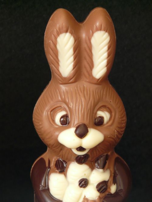 easter bunny easter chocolate
