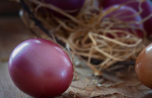 easter egg egg color