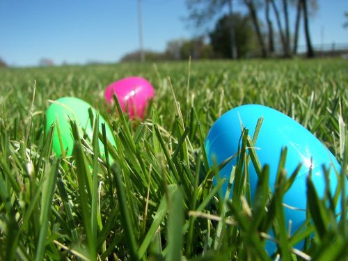 easter egg grass spring