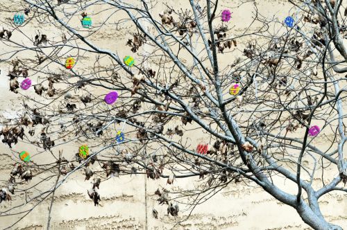 Easter Egg Tree