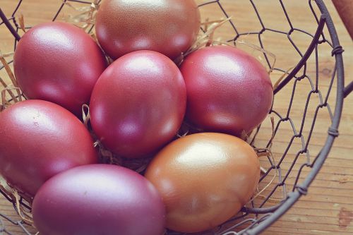 easter eggs egg color