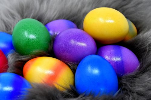 easter eggs colorful color