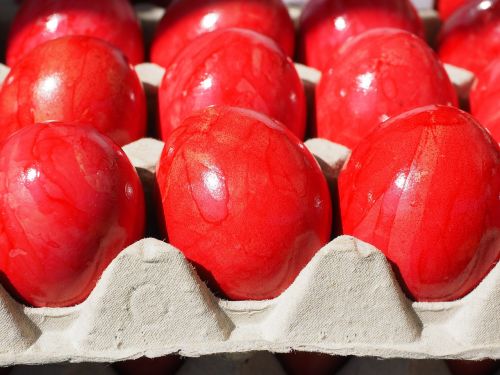 easter eggs egg red