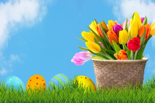 Easter Eggs &amp; Tulips With Blue Sky