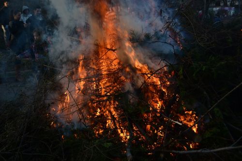 easter fire branches leaves