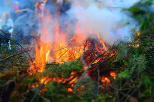 easter fire branches leaves