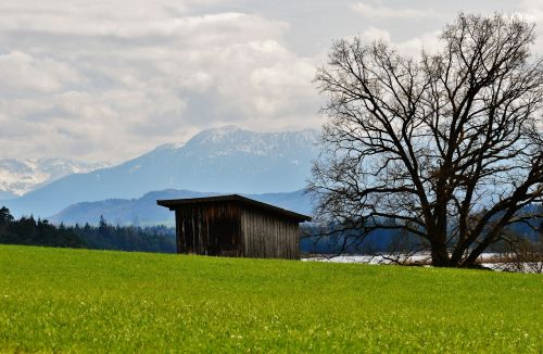 easter lake iffeldorf landscape