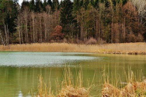 easter lake iffeldorf landscape