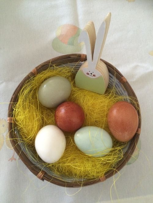 easter nest eggs in natural colors rabbit