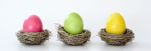 easter nest nest easter eggs