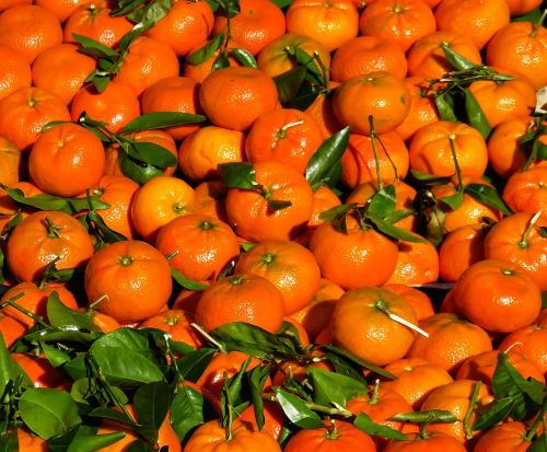 eat tangerines fruit