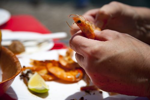 eat shrimp delicacy