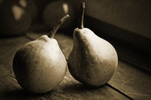 eating fruit pear tree