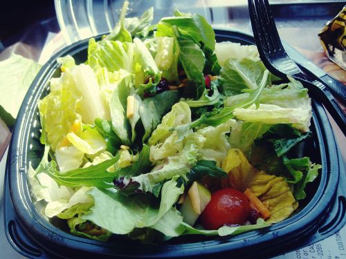 eating healthy food lettuce