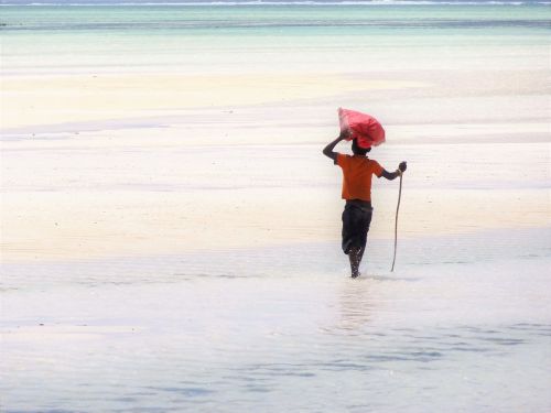 ebb young in the sea sand beach