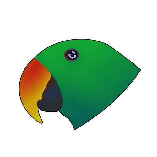 eclectus  bird  parrot