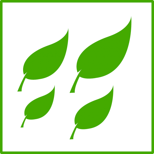 ecology green leaf