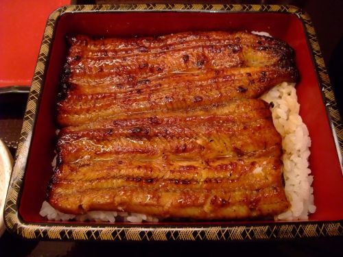 eel japanese food food