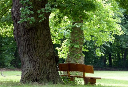 egestorffpark park bench summer