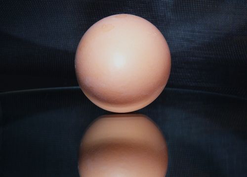 egg hen's egg food