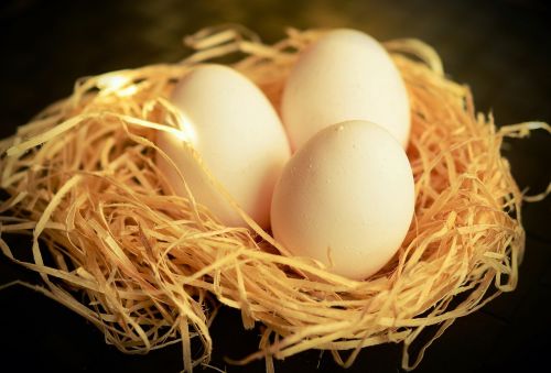 egg white eggs nutrition