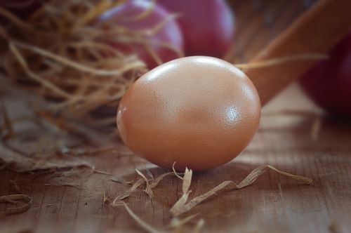 egg easter egg color