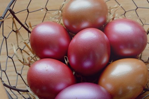 egg hen's egg easter eggs