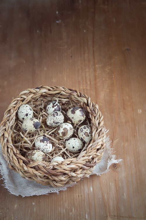 egg quail eggs basket