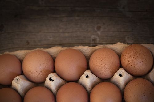 egg chicken eggs egg box