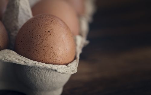 egg hen's egg raw egg