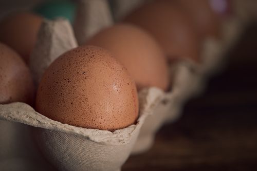 egg chicken eggs brown eggs