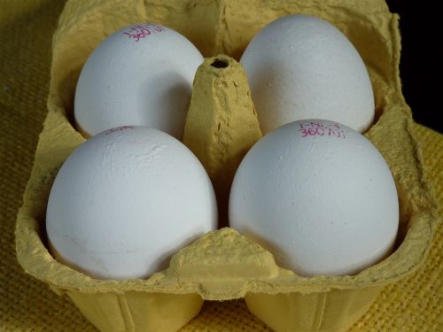 egg egg carton egg box