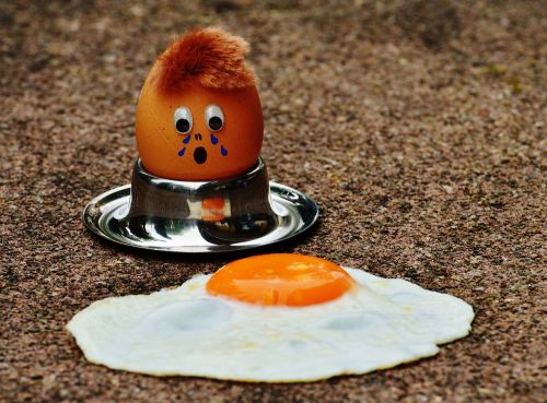 egg fried mourning