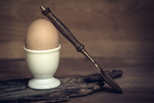 egg breakfast egg hen's egg