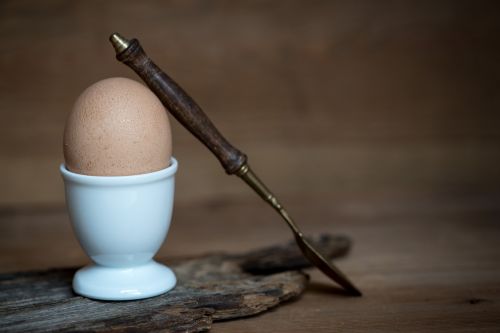 egg hen's egg brown egg