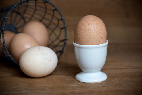 egg hen's egg brown egg