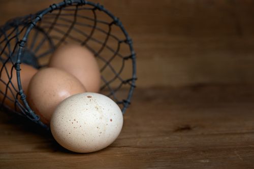 egg chicken eggs basket