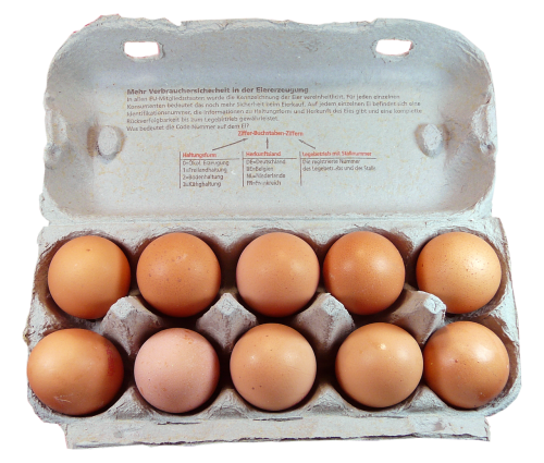 egg pack food