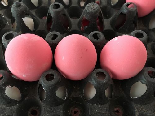 egg pink eggs food