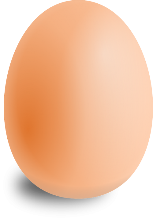 egg oval food