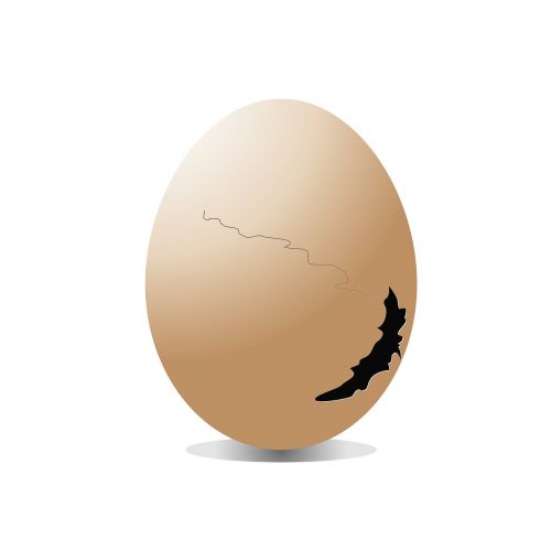 egg broken white
