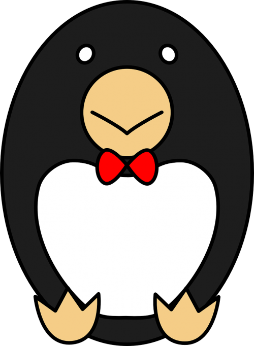 egg penguin animal